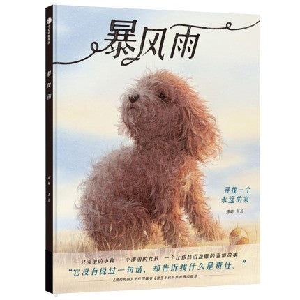 暴风雨 寻找一个永远的家 一个小女孩和一只流浪狗的故事 温情的无字书 3+